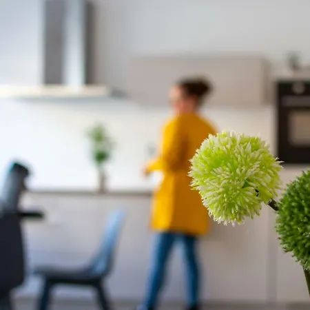 公寓 Boven De Ijsjes *